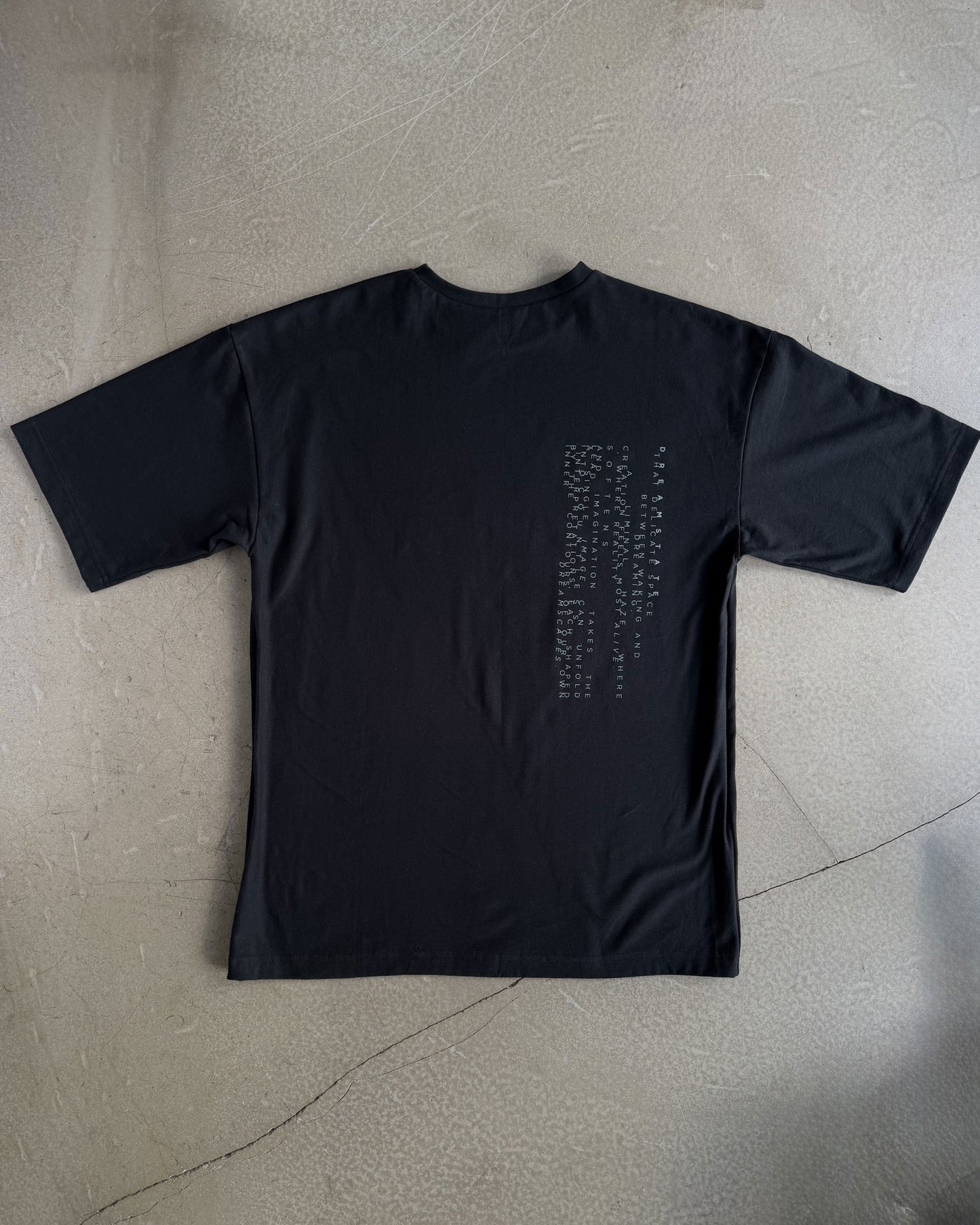 Black T-Shirt with Original Screen Print Photography by Laura Clark